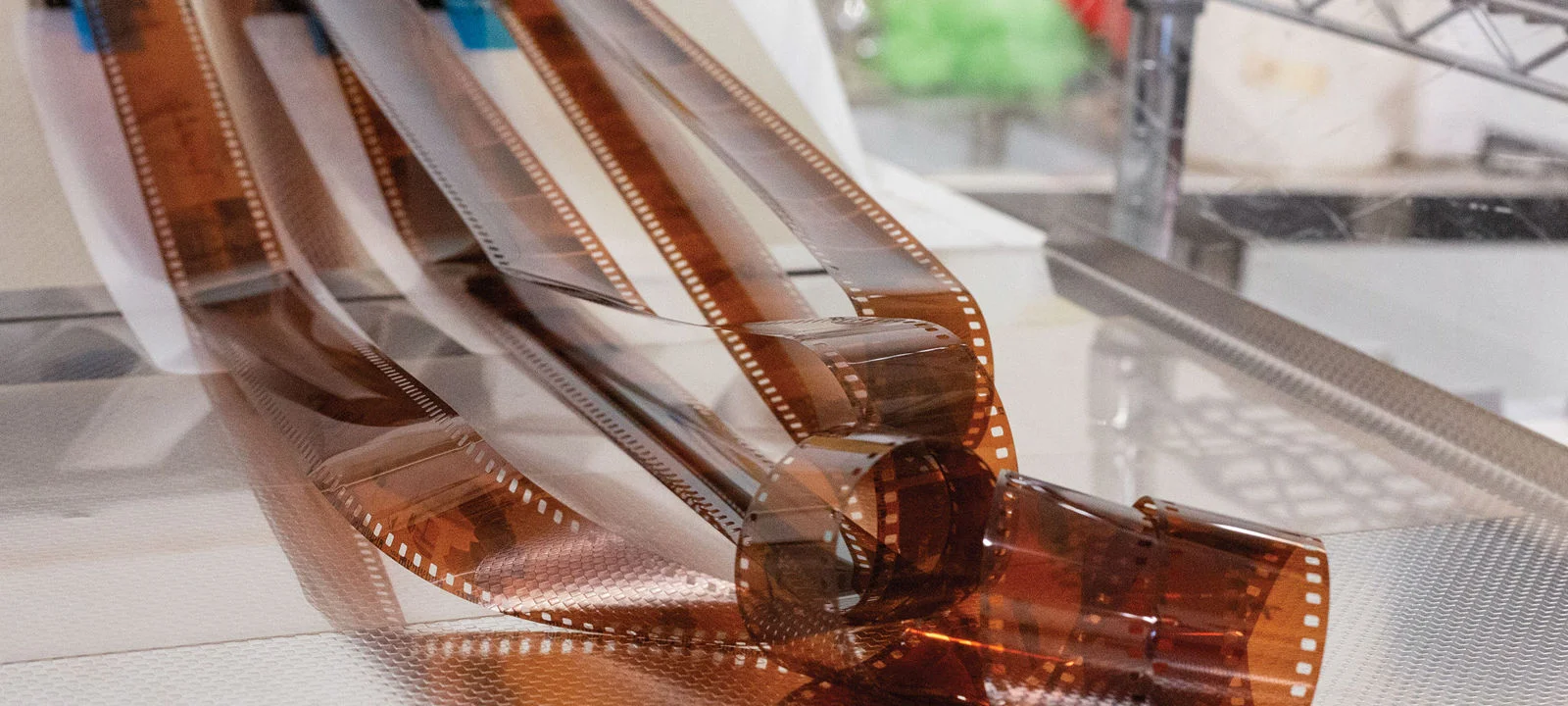 La photo argentique tient bon en 2026 : les fabricants renforcent leurs équipes