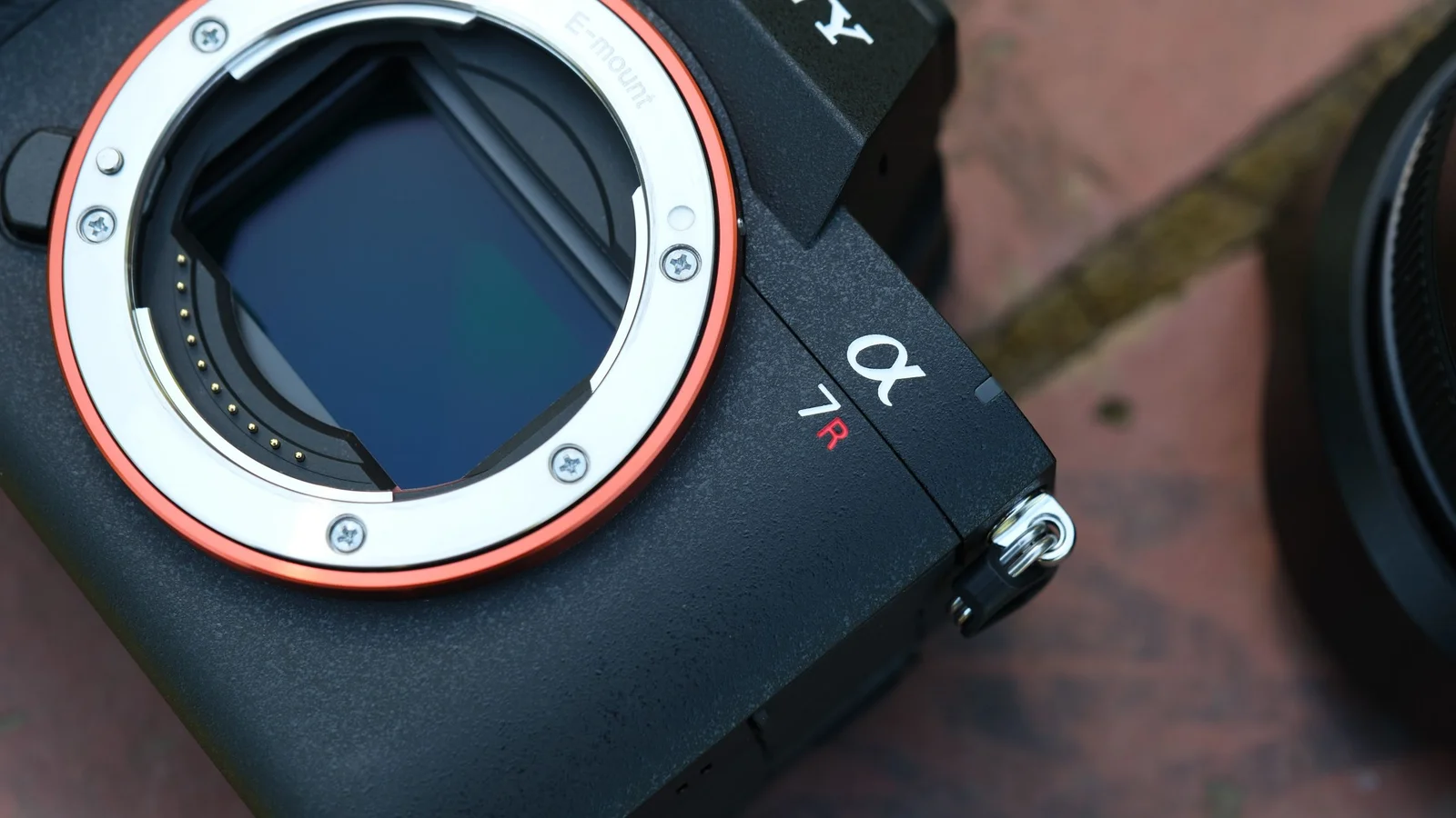 Le Sony A7R VI détrône l'A7 V : nouveau roi des ventes chez les vendeurs hybrides