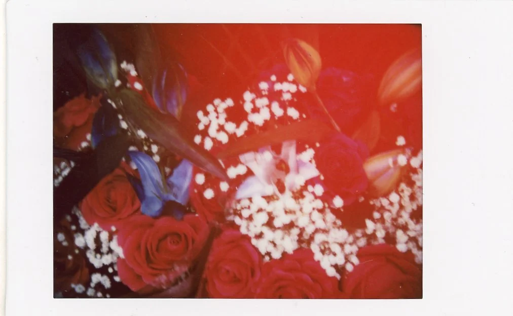 Un tirage Instax Mini de fleurs pris avec l'effet Light Leak du Mini 99